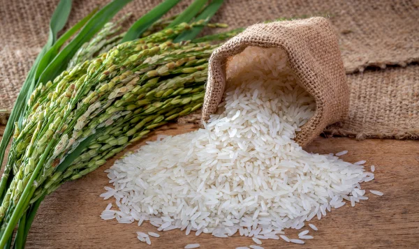 Non-Basmati Rice